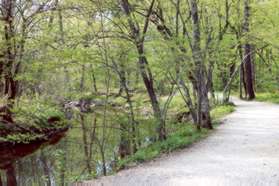 To the left of the trail is the original Patowmack Canal.