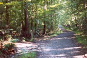 After climbing the hill a trail marker appears on the left.  Continue on the service road.