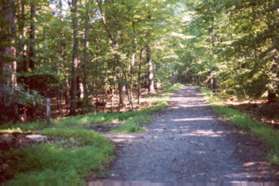 Another trail marker appears on the left.  This trail goes to Riverbend Rd.  Continue on the service road.