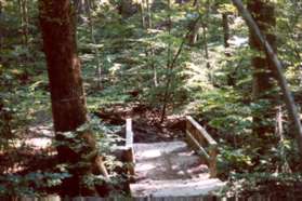 The trail immediately crosses a bridge.