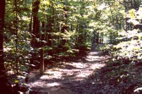 Do not turn left onto the Uplands Trail at the next trail intersection.  Continue straight on the present trail.