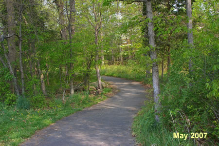 The trail enters a short wooded area.