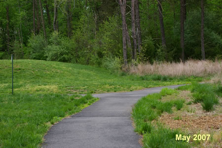 An asphalt trail intersects from the left. Continue on the present trail as it curves to the right.