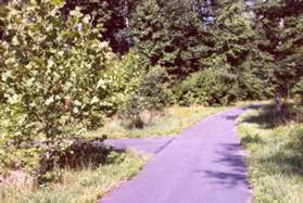 Turn left at the first trail intersection.