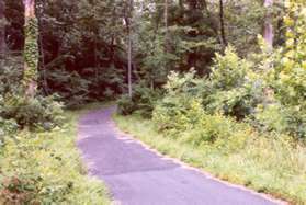 The trail heads into the woods with the houses on the left.