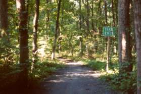 The pavement ends but the trail continues as a natural surface path.