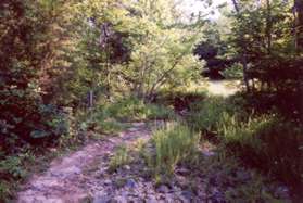 The trail comes to a creek crossing.  Turn left and follow 'MILL RACE PATH'.