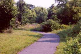 Stay on the paved trail at the gated trail intersection shown.