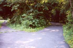 A paved trail diverges to the left. Stay on the paved trail to the right.