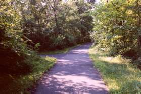 A paved trail intersects from the left. Continue on the present trail.