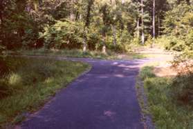 A paved trail intersects from the left. Continue on the present trail to the right.