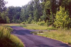 A short asphalt trail intersects to the right. Continue straight on the present trail.