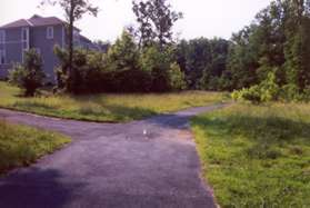 A paved trail intersects on the left. Continue on the present trail.