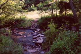 This rock crossing is part of the Runnymede trail system. 