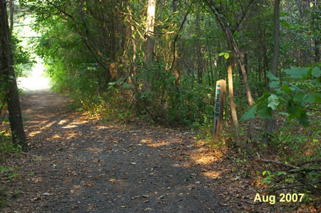 Turn right at the first intersecting trail.