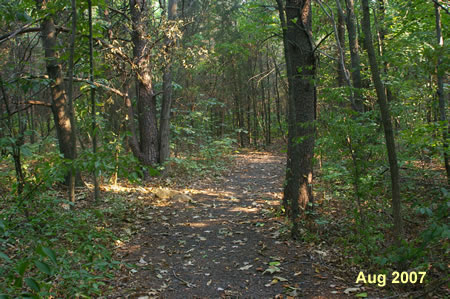 This trail is known as Redbud Path.