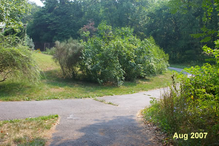 The trail passes a connection with Cavendish St.  Continue straight on the current asphalt trail.