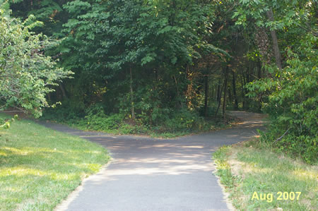 A trail intersects from the left.  Continue straight on the current trail.