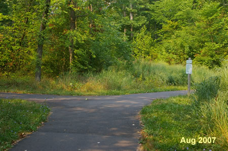 A trail intersects from the left.  Turn right to follow the current asphalt trail.