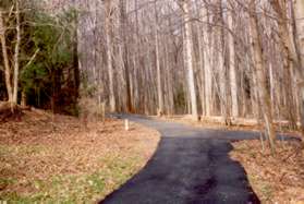 The wide asphalt path to the right goes under Soapstone Dr.  Continue straight on the present path.