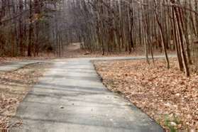 At the next path intersection turn right to cross the bridge and turn left to follow the creek on the other side.