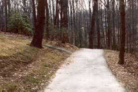 The path passes a narrow asphalt path going up the hill to the left.