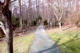 The wide asphalt trail crosses a short section of clearing and enters the woods.