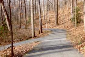 Turn left at the first wide asphalt trail to rejoin the park loop.