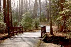 The trail crosses the Snakeden Branch.
