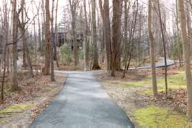 Turn right at the next trail intersection to head away from the creek.