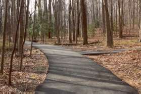 Continue straight past the narrow asphalt trail to the right.