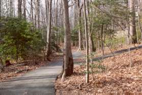 Stay on the wide asphalt trail past the narrow asphalt trails to the right and then the left.