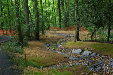 Glade stream restoration