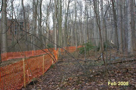 Looking west from third stream crossing.