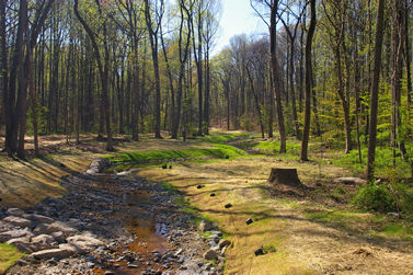 Stream restoration
