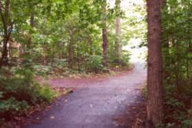 An asphalt trail intersects from the left.  Continue straight on the present trail which will shortly bear left.