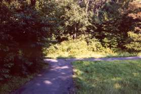 The trail intersects with another asphalt trail.  Turn right.