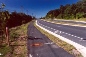 Turn left to follow the asphalt trail along the east side of Dranesville Rd.