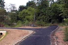 A trail intersects from the left from under Wiehle Av.  Continue straight on the present trail to the stream.