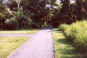 Turn left at the intersecting asphalt trail.