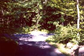 The trail intersects with another asphalt trail. Turn right.