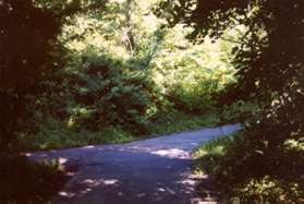 A trail intersects from the left.  Keep on the present trail to the right.