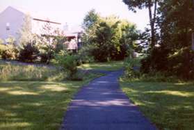 A trail intersects from the left.  Continue straight on the present trail.