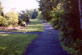 Another trail intersects from the left.  Continue straight on the present trail.