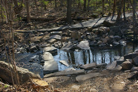 Turn right at the next trail intersection to cross Sugarland Run on  large flat rocks.. After crossing take the asphalt trail to the right up the hill.