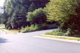 After walking less than a block the entrance to Stuart Road Park is reached concluding the walk.