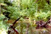 Sugarland Run Stream Valley Park