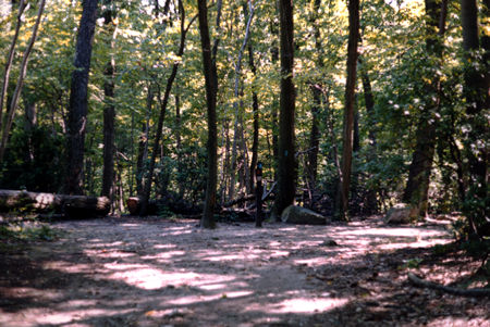 The post marks the intersection of the red trail with the white trail.  Note the overlook to the left.