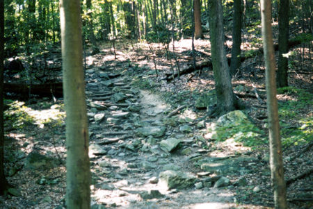 The red trail starts up a steep hill on the rocks shown.