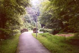 The path crosses a creek at the bottom of the hill.